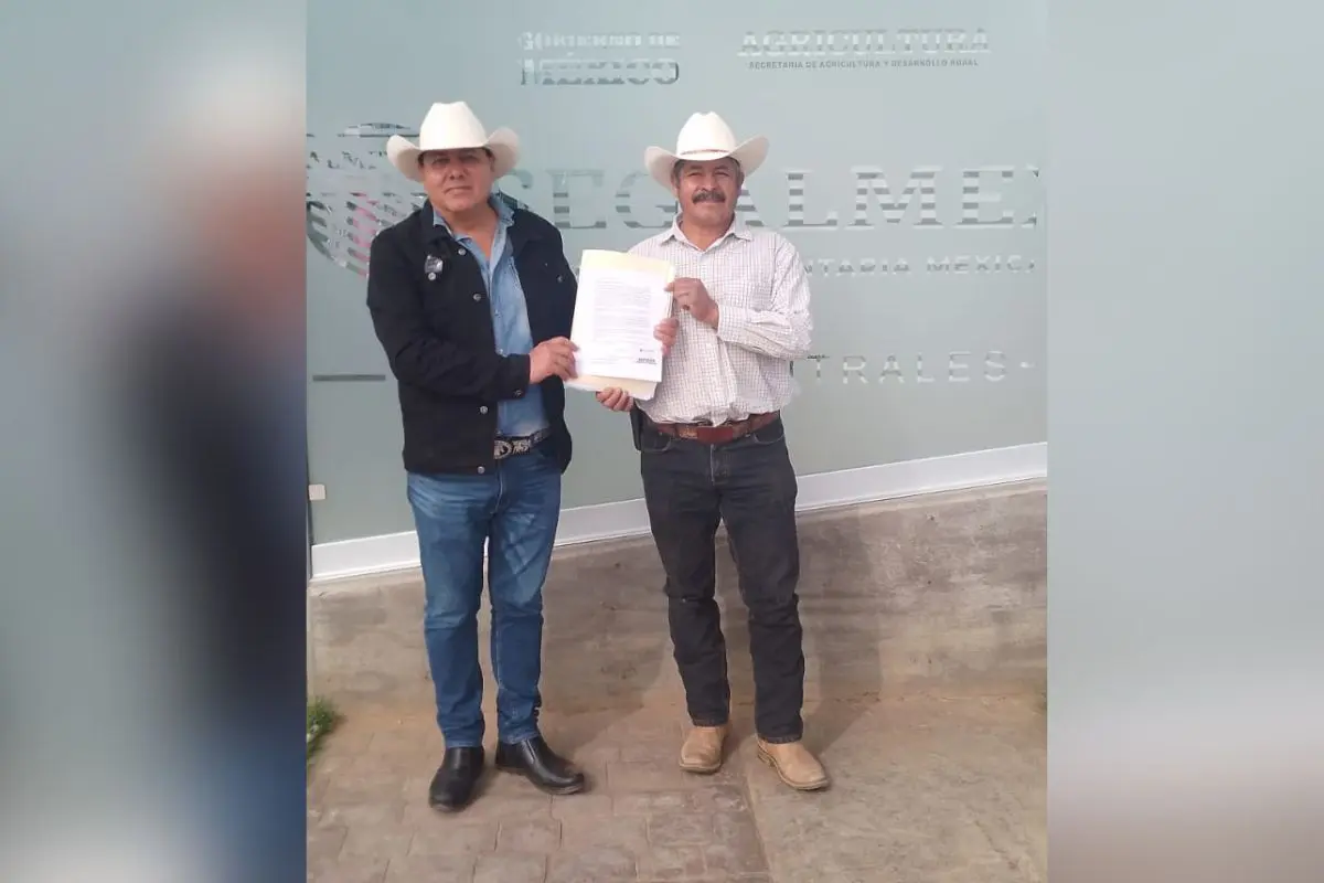 El Runrún Nuevo precio de garantía para el frijol |