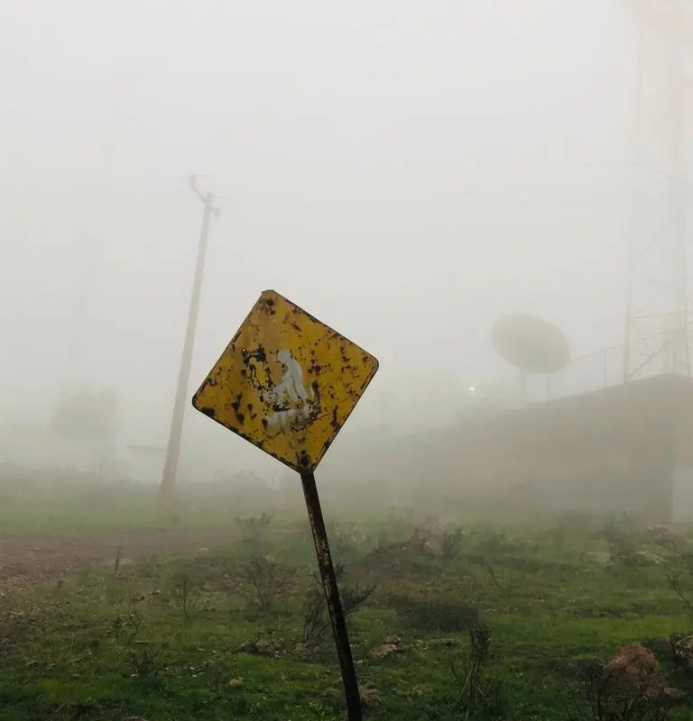Tomamos postales de la niebla en el Cerro de la Virgen