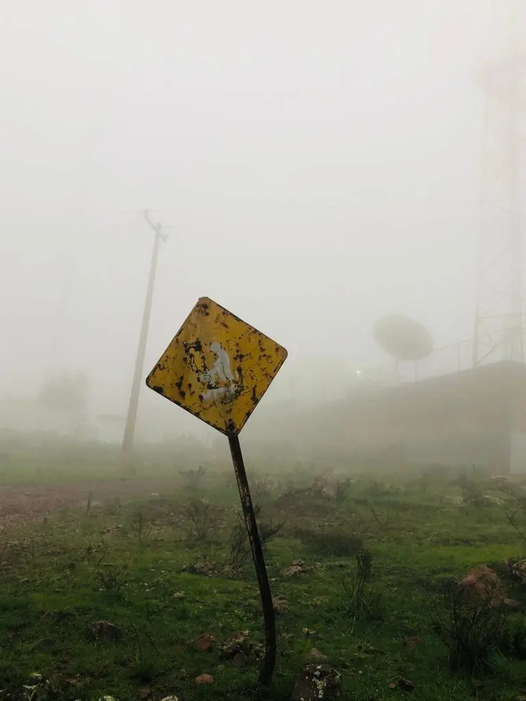 Tomamos postales de la niebla en el Cerro de la Virgen |