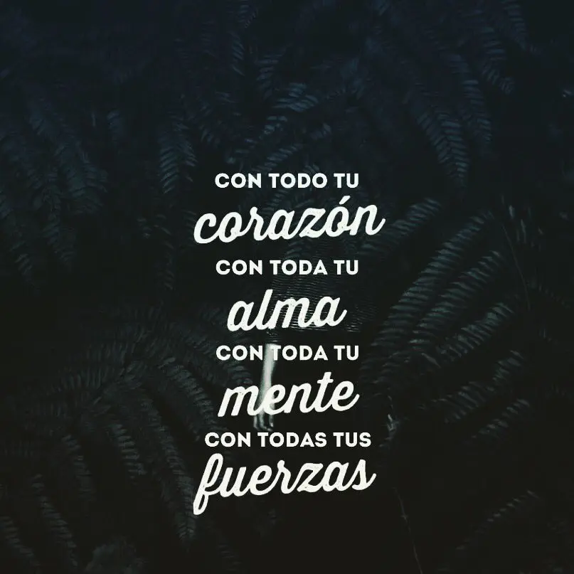 Amar con todo |