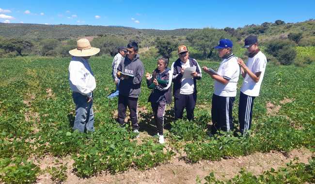 Inclusión y Sustentabilidad: Jóvenes en Zacatecas Adoptan la Agricultura Productiva en Tercer Año de la Iniciativa