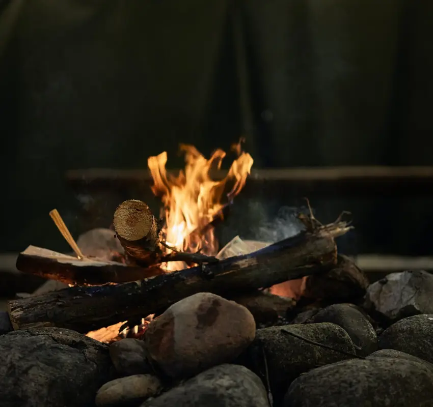 Leña al fuego