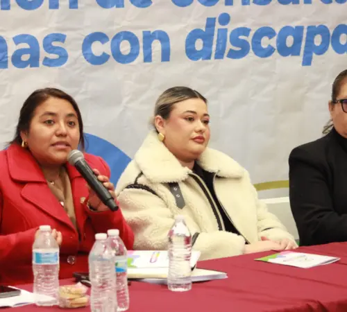 Concluye en Tijuana la Fase Informativa de la Consulta a Personas con Discapacidad: Todo lo que Debes Saber