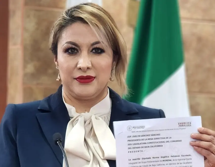 Diputada Angélica Peñaloza Presenta Iniciativa para Clarificar Punibilidad en Delitos de Robo