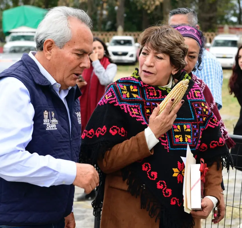Apoyarán al campo mexiquense con subsidio al precio del maíz blanco