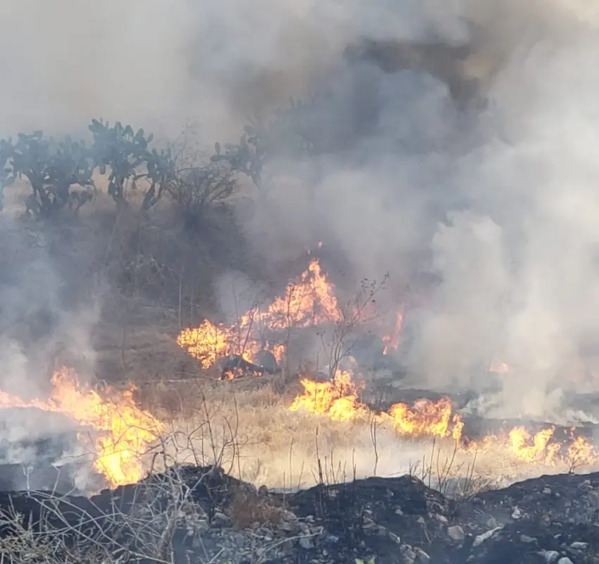 Atienden incendio de llantas y basura