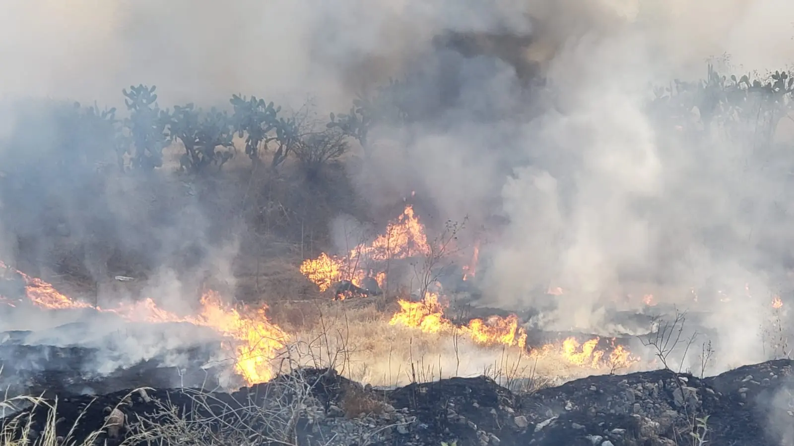 Atienden incendio de llantas y basura | Atienden incendio de llantas y basura   Noticias de Querétaro