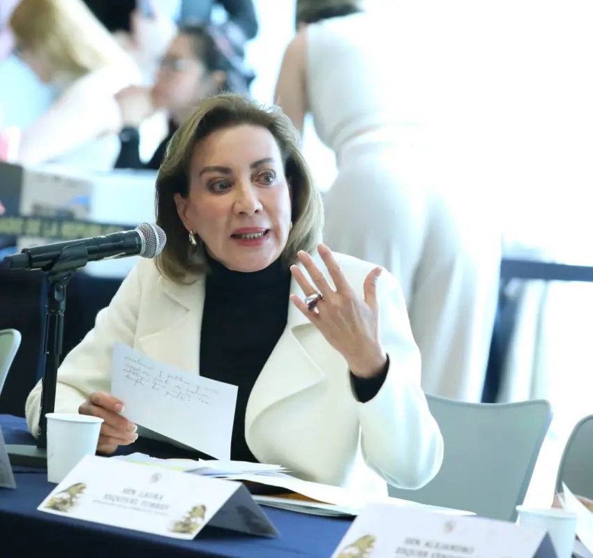 Innecesaria la reforma en materia de soberanía: GM