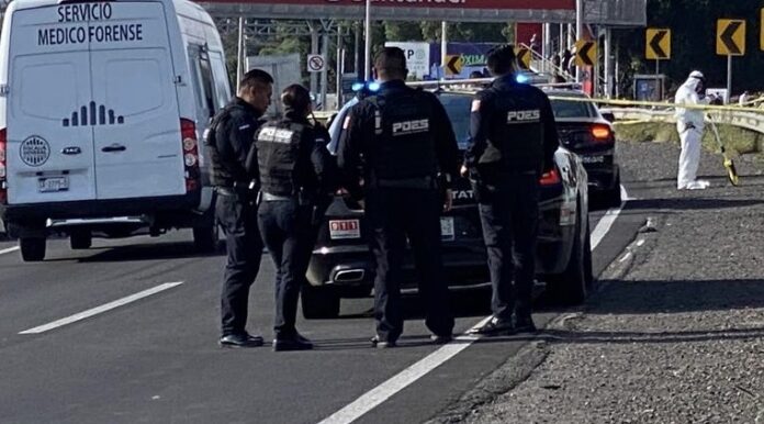 Muere atropellado en Paseo 5 de Febrero - Noticias de Querétaro