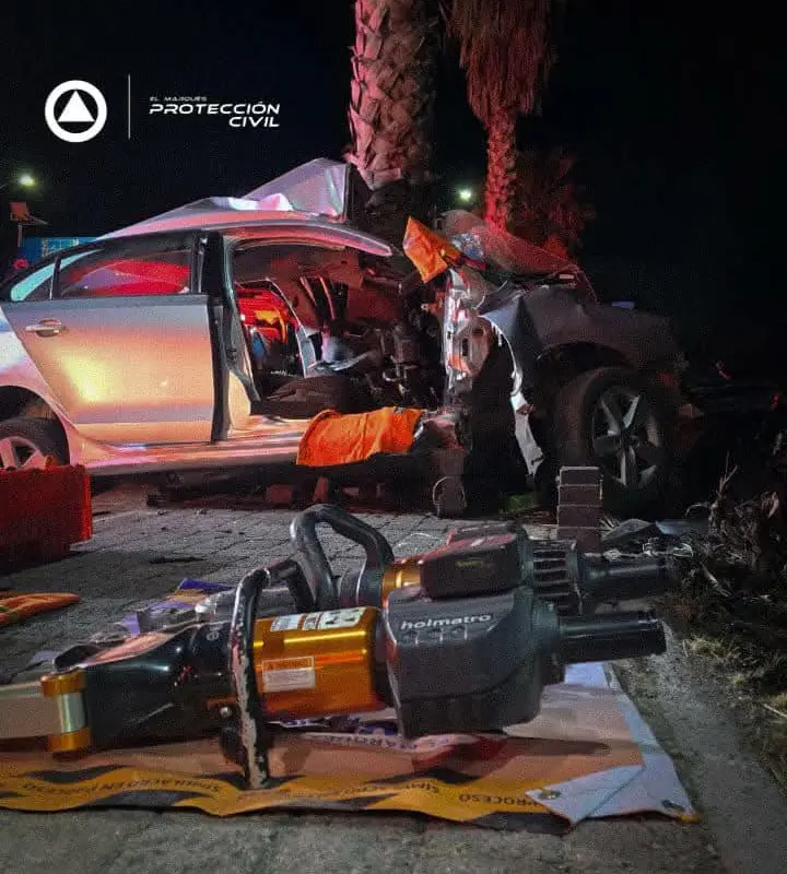 Automovilista prensado tras colisión con una palmera