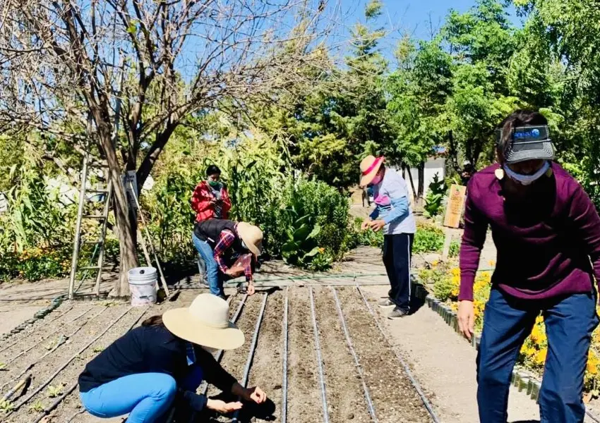 CIASPE, centro que trabaja la agroecología