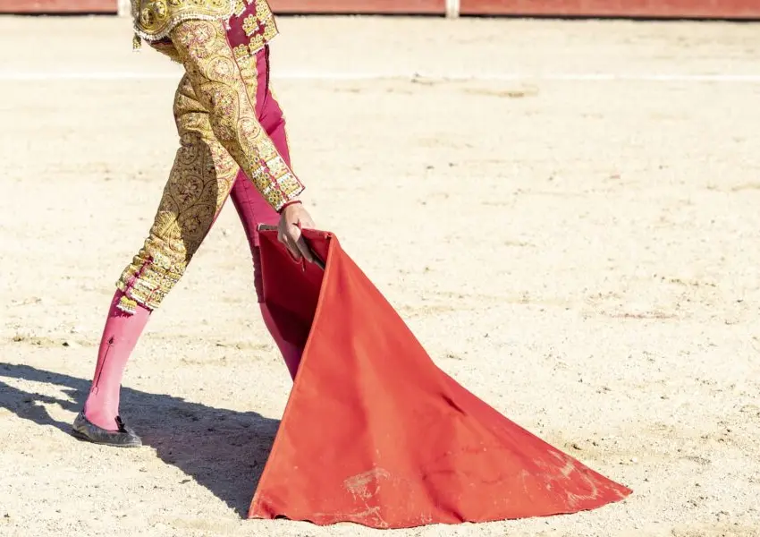 Corridas de toros sin violencia: Ley en CdMx prohíbe matar o herir a los toros