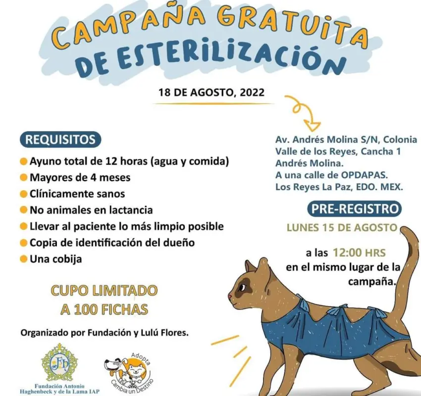 Esterilización de animales gratuita en Los Reyes La Paz