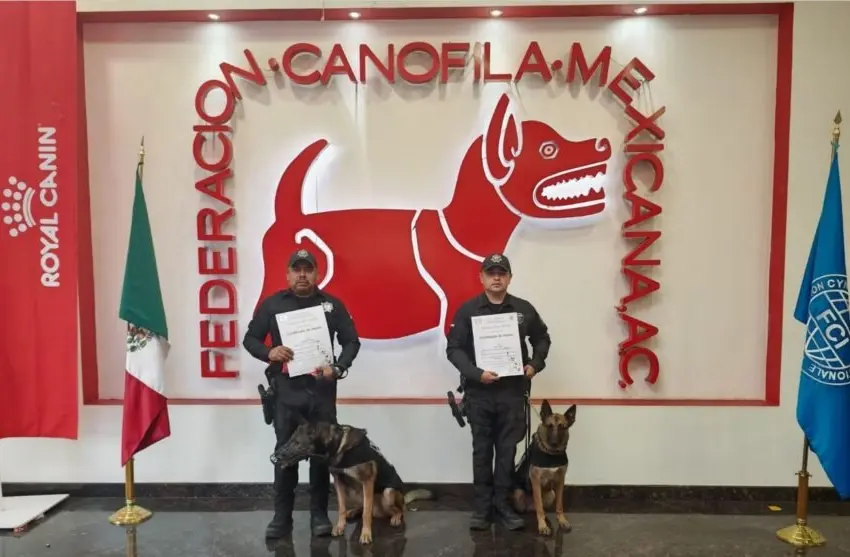 Federación Canófila Mexicana reconoce a binomios caninos de Policía Estatal