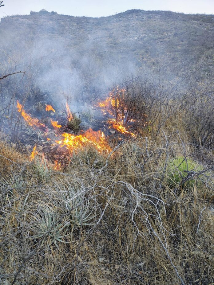 Fueron 25 hectáreas de pastizal las consumidas por el fuego en ...