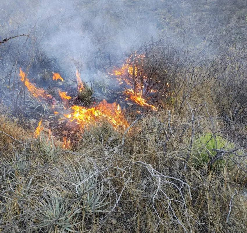 Fueron 25 hectáreas de pastizal las consumidas por el fuego en Tolimán