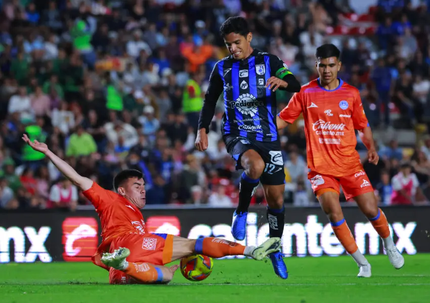 GALLOS AL ACECHO