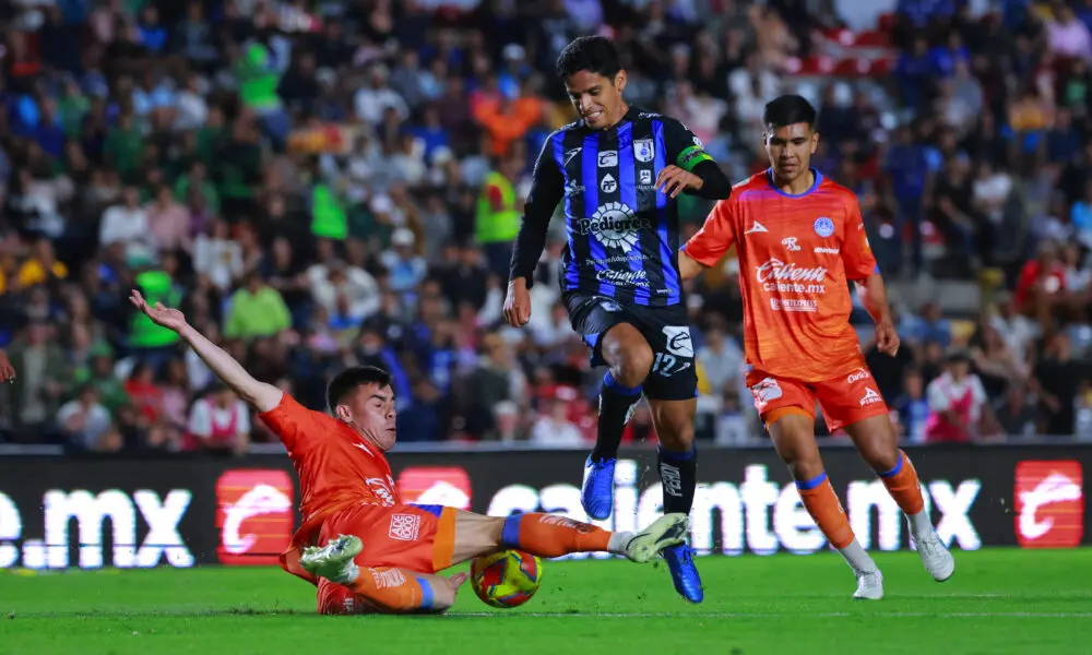 GALLOS AL ACECHO   Noticias de Querétaro