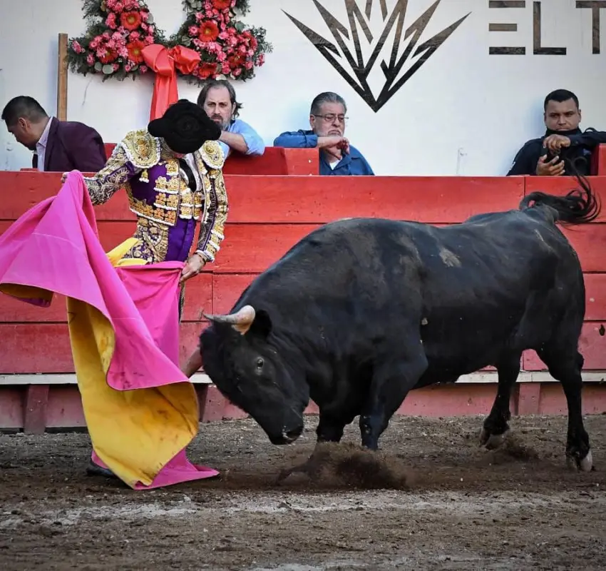 Golpe a la fiesta