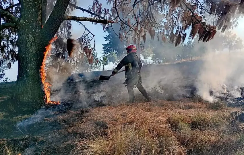 Incendio en Cerro del Molcajete en Almoloya de Juárez