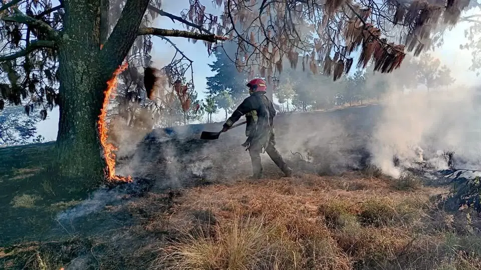 Incendio en Cerro del Molcajete en Almoloya de Juárez   Primero
