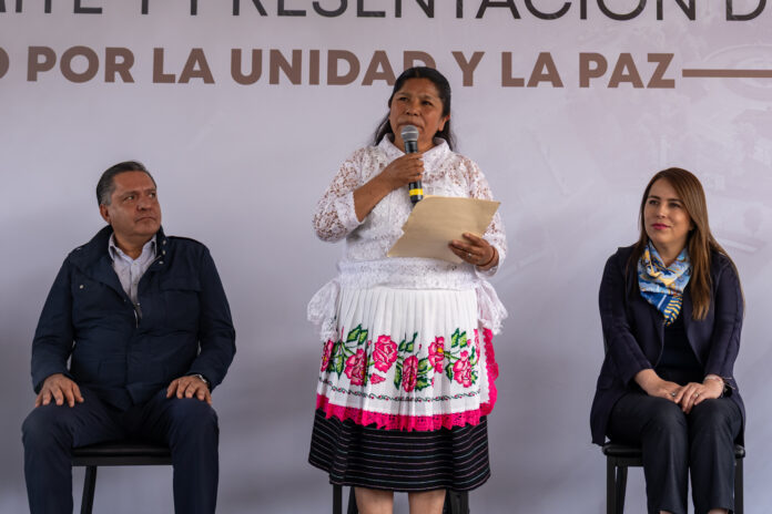 Instalaron comités para atender la salud en Toluca - Primero Editores