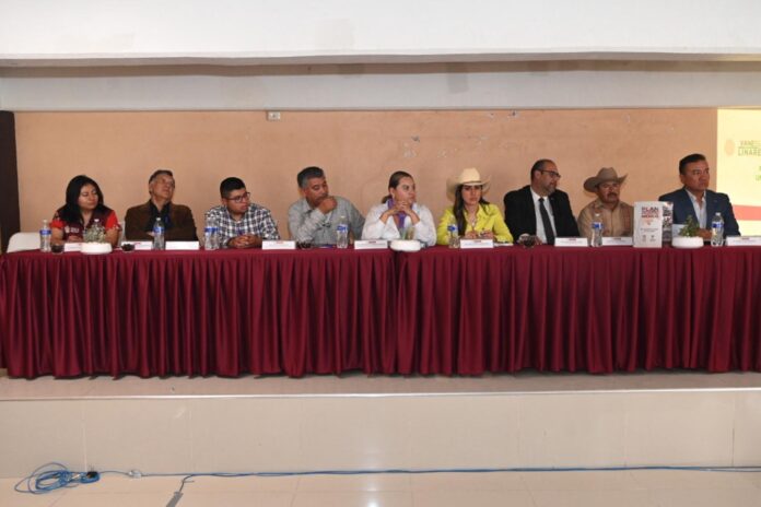Perdió en 2020 Edomex 128 mil hectáreas de bosque: Vanessa Linares ...