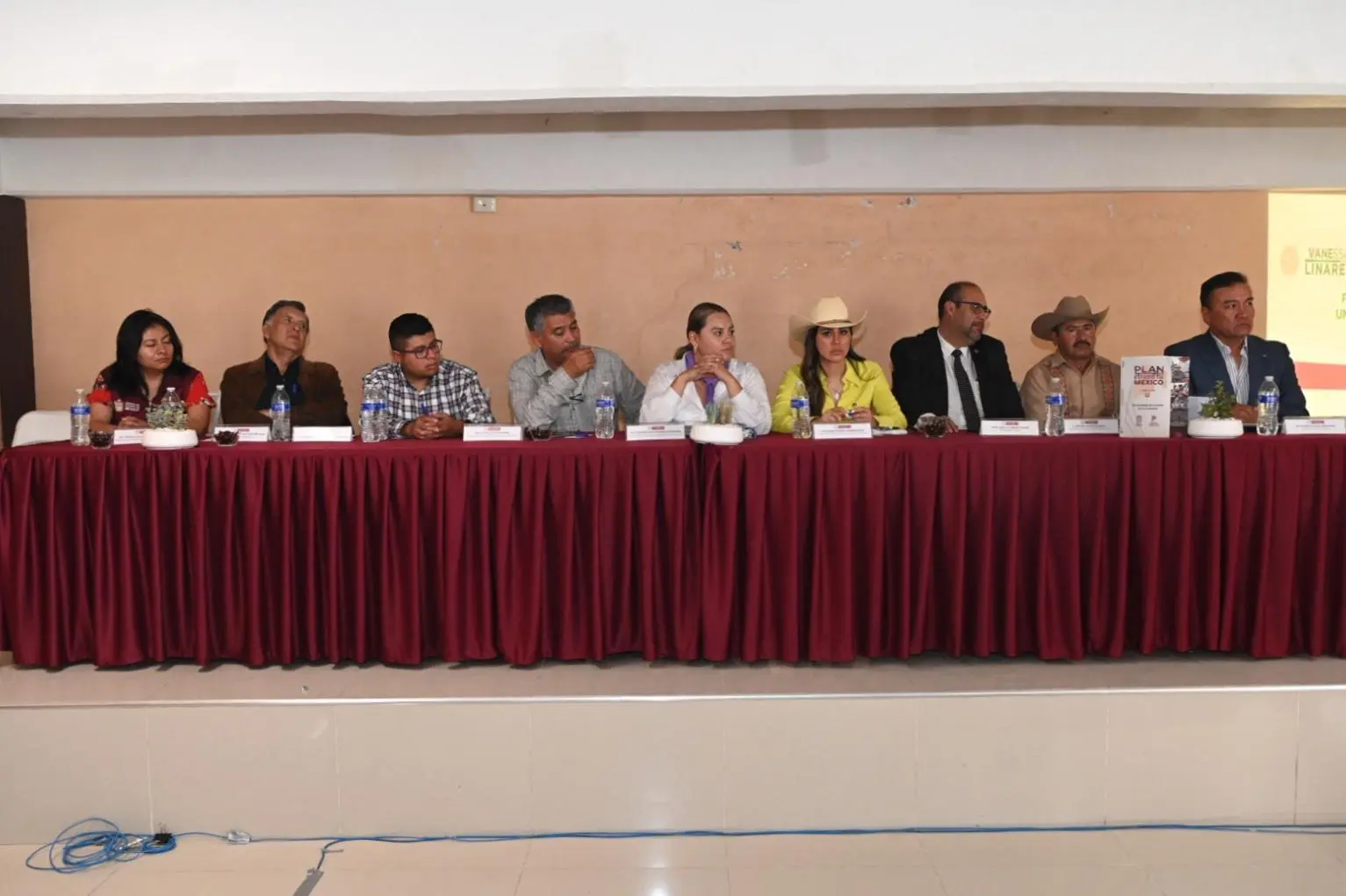 Perdió en 2020 Edomex 128 mil hectáreas de bosque Vanessa Linares