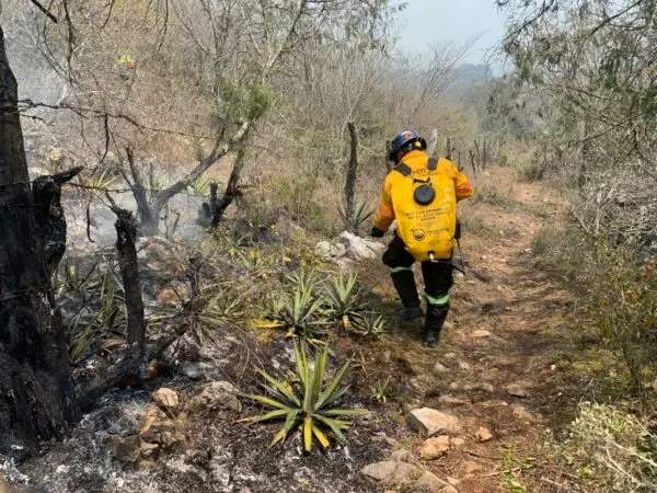 Siguen labores de combate de incendio en La Tinaja, Pinal de Amoles
