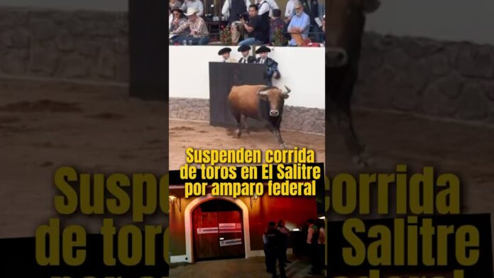 Suspenden corrida de toros en Querétaro por amparo federal. - YouTube