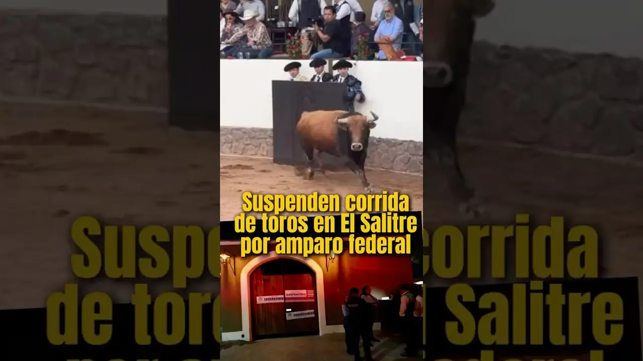 Suspenden corrida de toros en Querétaro por amparo federal   YouTube