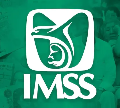 Más de 25 mil personas acceden a seguridad social gracias a programa del IMSS para mexicanos en el extranjero