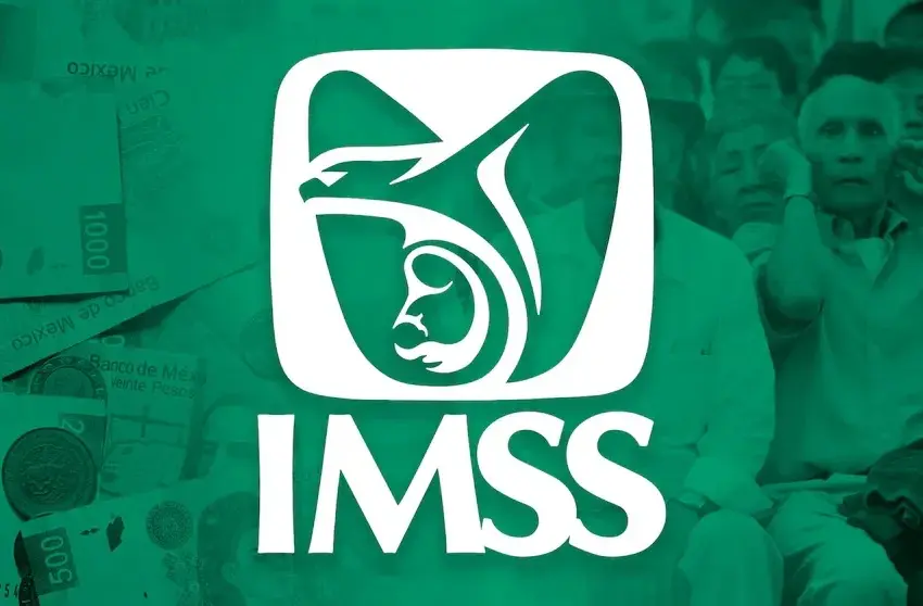 Más de 25 mil personas acceden a seguridad social gracias a programa del IMSS para mexicanos en el extranjero