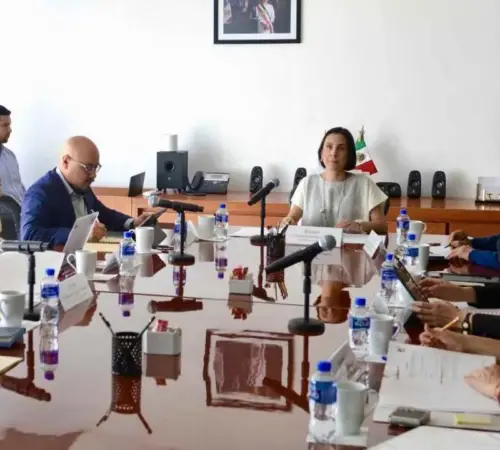Anuncian creación del Comité de Asignaciones, Contratos y Permisos de la SENER