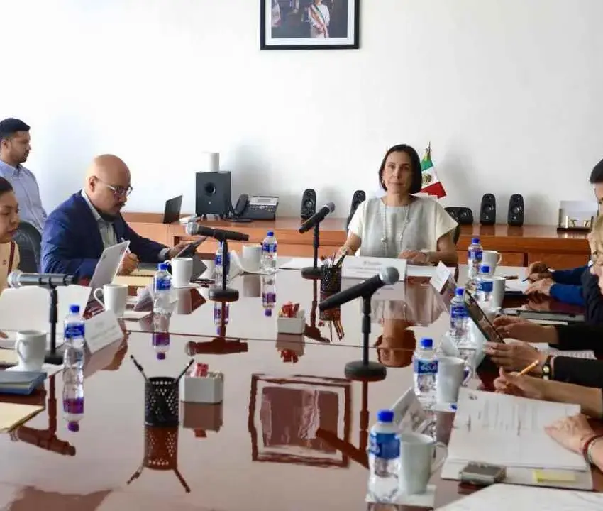Anuncian creación del Comité de Asignaciones, Contratos y Permisos de la SENER