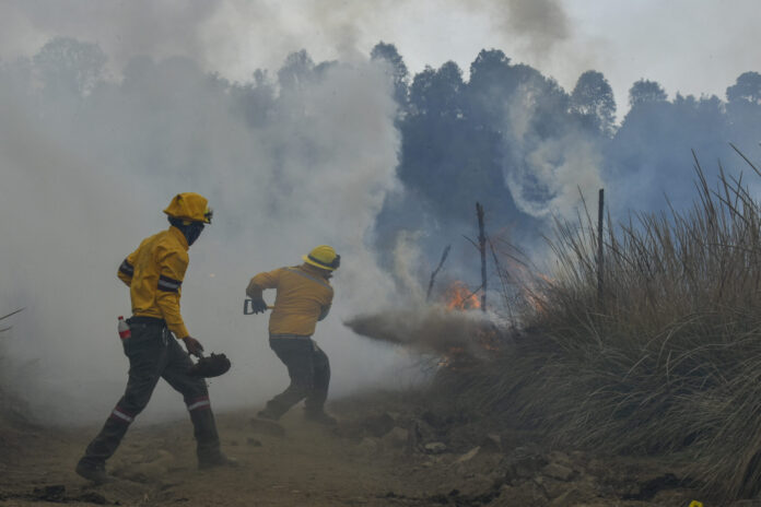 Bajo control incendios en Edoméx - Primero Editores
