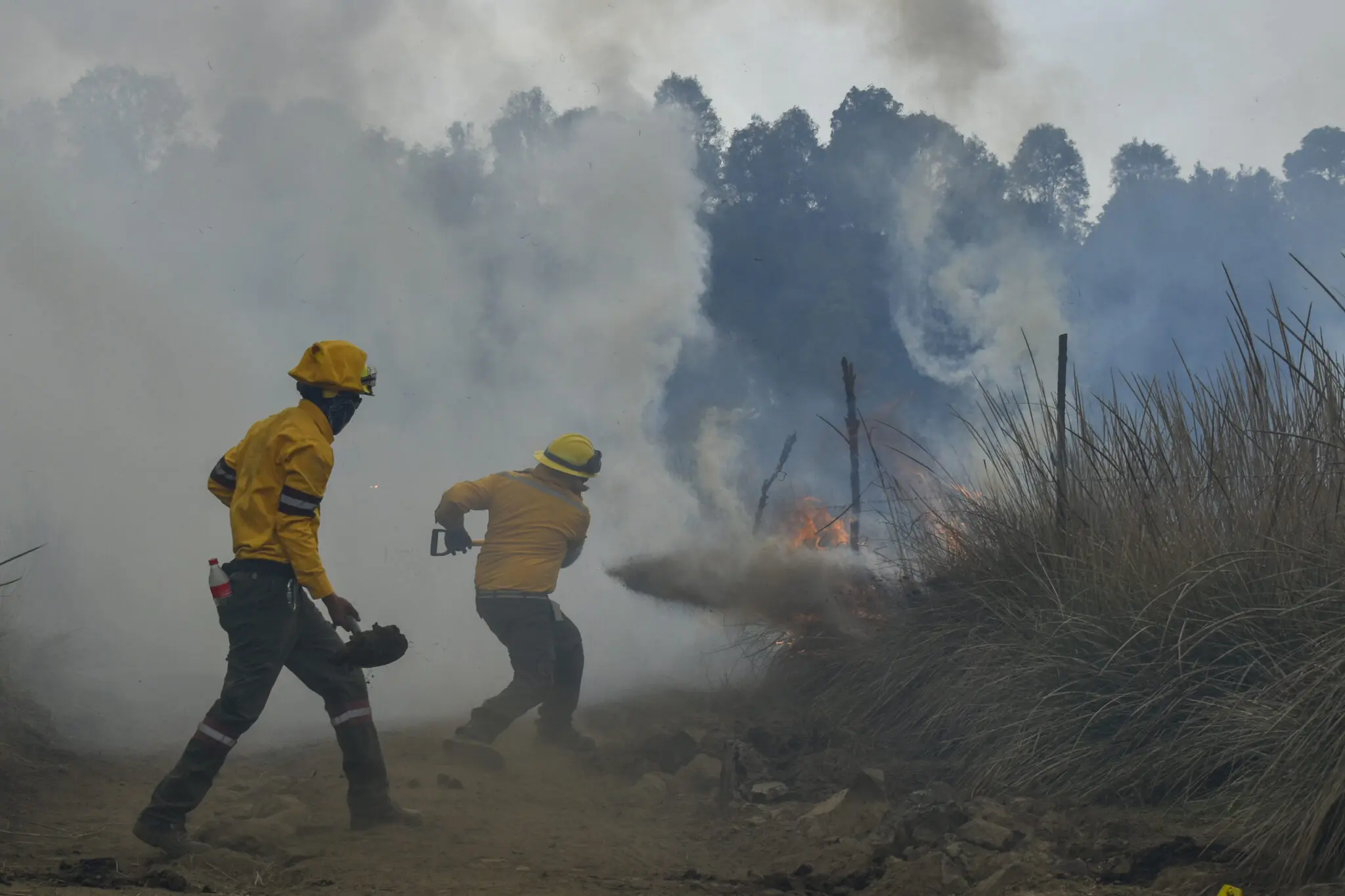 Bajo control incendios en Edoméx   Primero Editores
