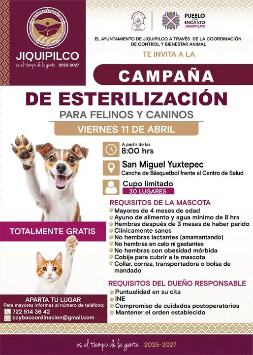 Campaña de esterilización gratuita para perros y gatos en Jiquipilco