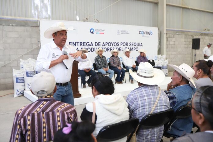 concluye-sedea-el-programa-de-entrega-de-maiz-para-consumo-humano-en-penamiller Concluye SEDEA el programa de entrega de maíz para consumo humano ...