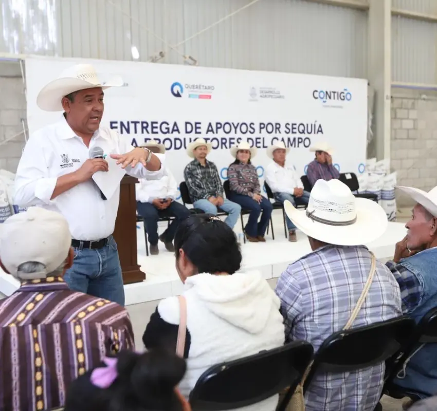 Concluye SEDEA el programa de entrega de maíz para consumo humano en Peñamiller