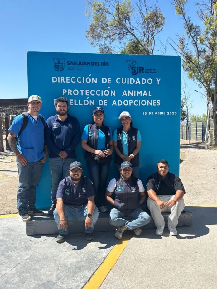 Continúa Cuidado Animal fomentando la adopción - Noticias de Querétaro