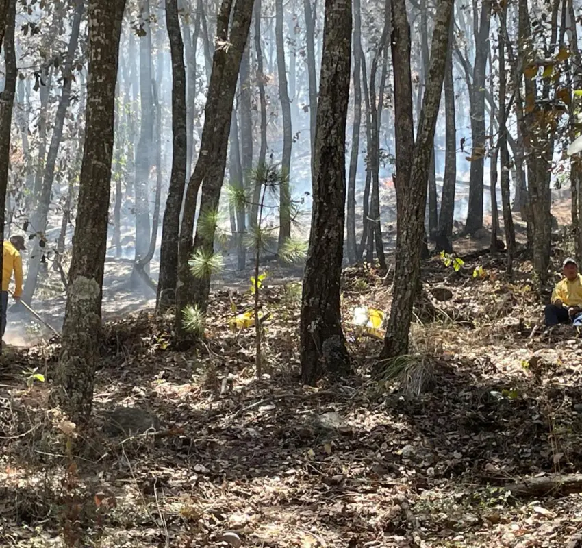 Controlado en 95% el incendio forestal en los límites entre Amealco y Huimilpan
