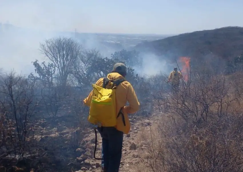Crear la fiscalía especializada en delitos ambientales ante aumento de incendios