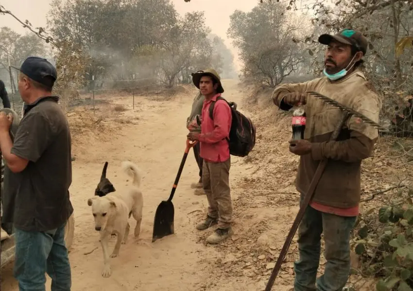 Exhortan a amealcenses a combatir el incendio forestal