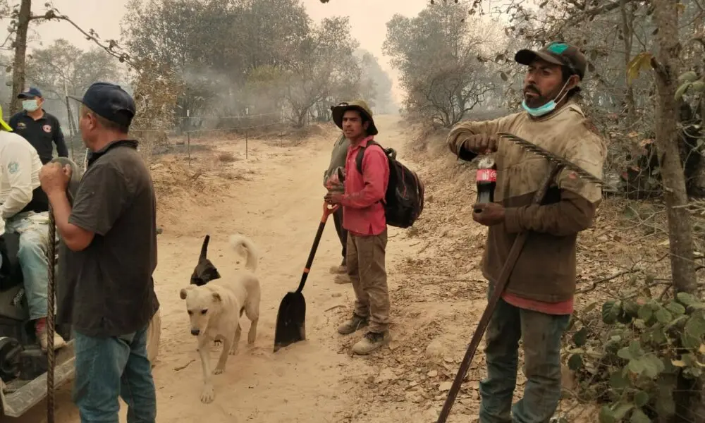 Exhortan a amealcenses a combatir el incendio forestal   Noticias