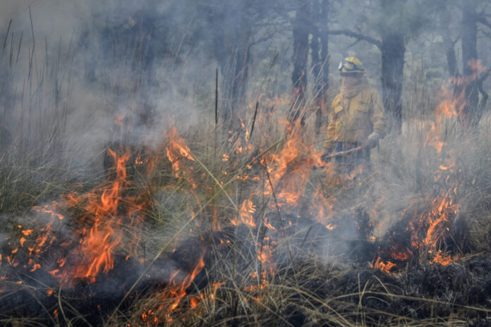 Hasta 10 años de cárcel por provocar incendios forestales en ...