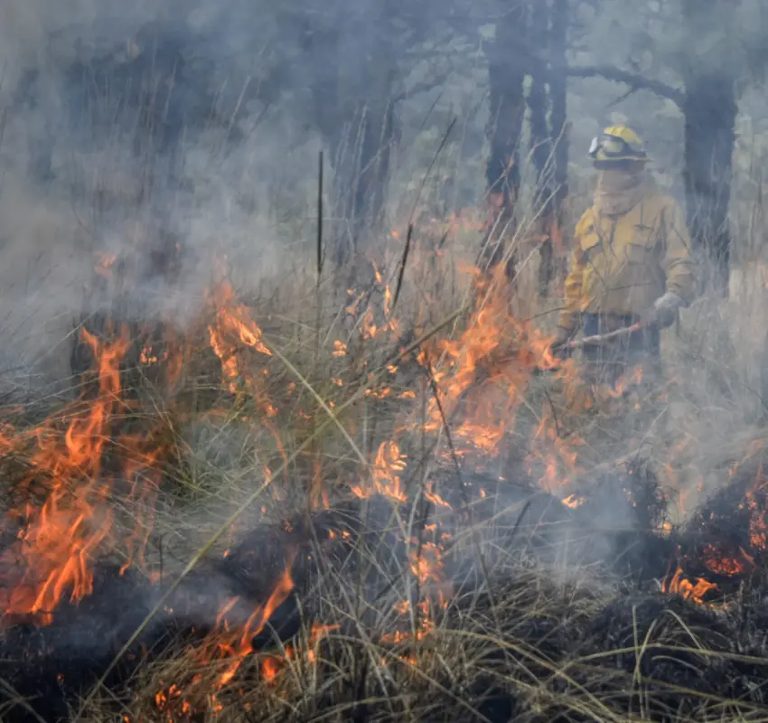Hasta 10 años de cárcel por provocar incendios forestales en Edomex