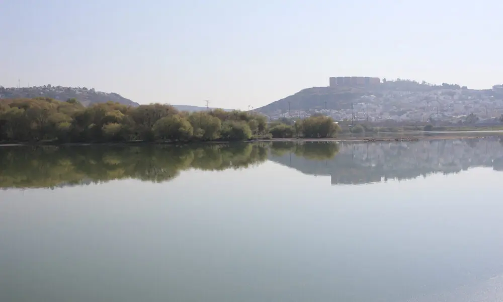 Necesario sanear el bordo del Parque 2000   Noticias de Querétaro