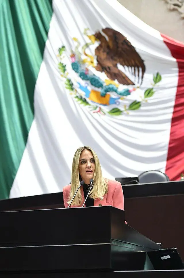 Noticias pilar de la vida democrática de Querétaro Tania