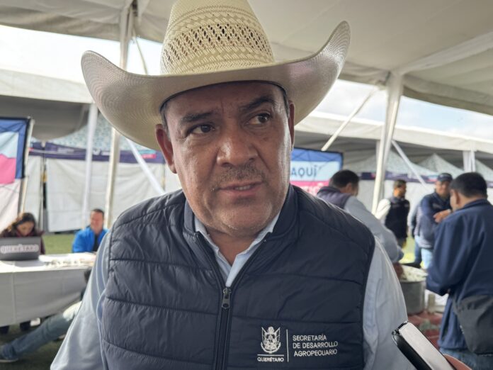 Preparan una estrategia de reforestación tras incendios - Noticias ...